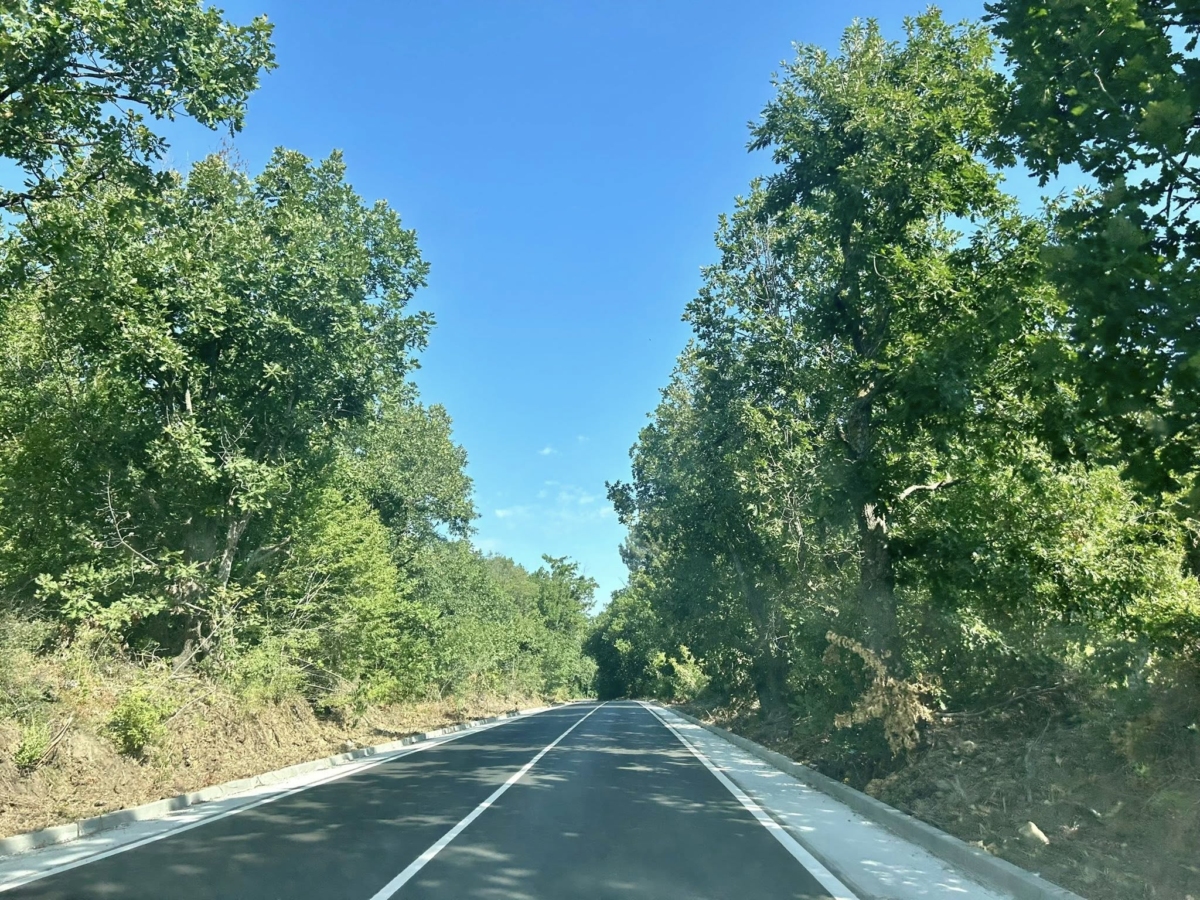 Ако президентът упражни правото си на вето върху промените в