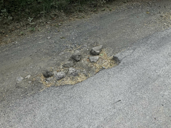 Състояние на пътя