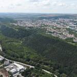 Велико Търново срещу „Кроношпан“: Сигналите се повтарят вече 15 години