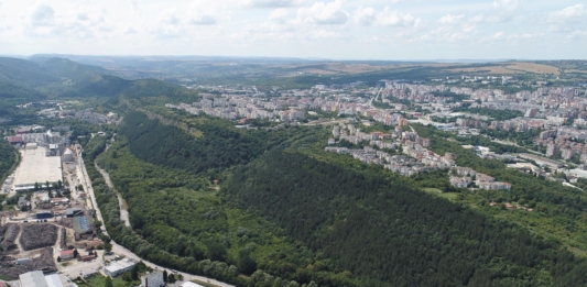 Велико Търново срещу „Кроношпан“: Сигналите се повтарят вече 15 години