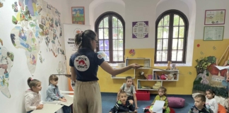 Видин, библиотека