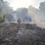 Военни гасят пожара в Сливница