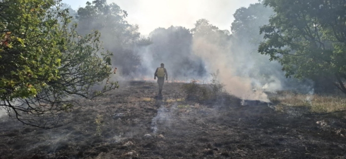 Военни гасят пожара в Сливница Военни гасят пожара в Сливница