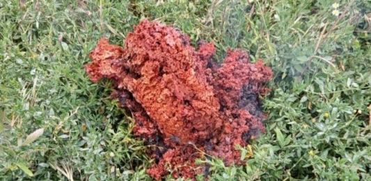 Червен обект падна от небето и се изпари в Якоруда