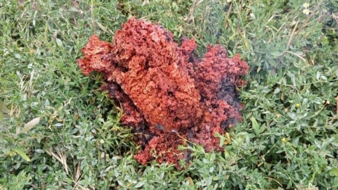 Червен обект падна от небето и се изпари в Якоруда