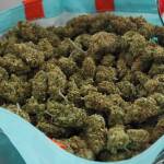 Задържаните наркотици в Русе