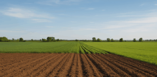 Земеделска земя