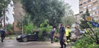 Дърво премаза кола в центъра на Монтана по време на бурята