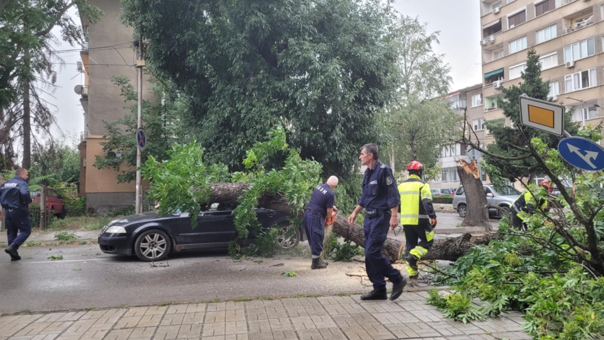 Падналото голямо дърво премаза автомобил на ул Граф Игнатиев в
