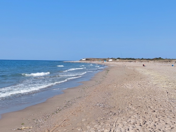 530659774 10171745587790018 23052710268094444 n