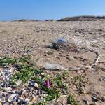 Боклуци на див плаж по Българското Черноморие.