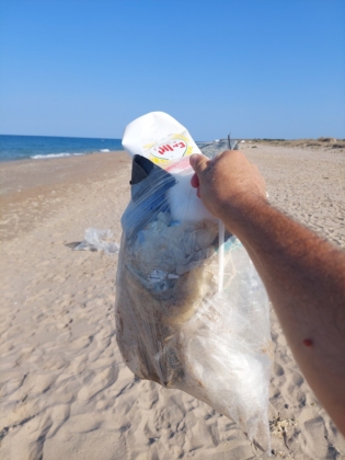 531380088 10171745587600018 1506168478922384899 n