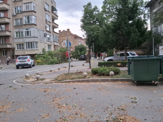 536447673 3404364283035161 5672958350446347987 n