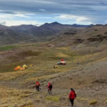 В Чили откриха най-малкия известен бозайник от епохата на динозаврите