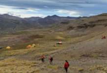 В Чили откриха най-малкия известен бозайник от епохата на динозаврите