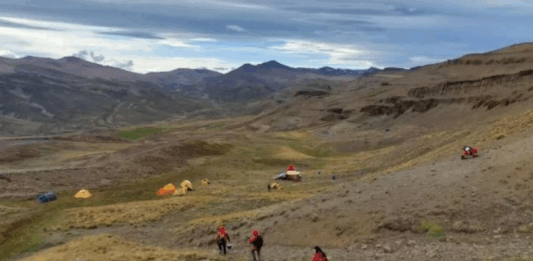 В Чили откриха най-малкия известен бозайник от епохата на динозаврите