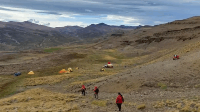 В Чили откриха най-малкия известен бозайник от епохата на динозаврите В Чили откриха най-малкия известен бозайник от епохата на динозаврите