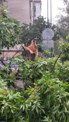 9867be44 8b0c 4778 8c39 2e40f698d7ab