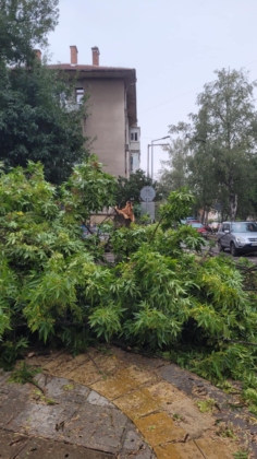 Щети след бурята в Монтана