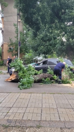 a2258374 ad9b 4ec0 bea3 8f01f090e2d9