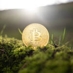 Колко души в света притежават поне един цял биткойн? биткойн