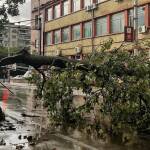 20 минути ужас: буря с ураганен вятър връхлетя Плевенско Щети след бурята в Плевен