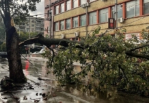 Щети след бурята в Плевен