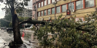 Щети след бурята в Плевен