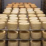 Д-р Сергей Иванов: Имитиращите млечни продукти у нас са в пъти повече от обявените 6000 тона Сирене, млечни, имитиращи продукти