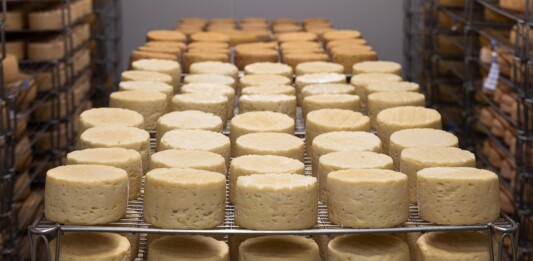 Сирене, млечни, имитиращи продукти