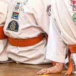 Русе ще бъде домакин на първото Балканско първенство по карате шинкиокушин в България Карате
