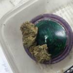 Наркотици в Перник