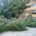 Паднал клон в Бургас