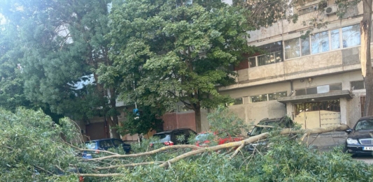 Паднал клон в Бургас