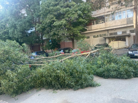 Паднал клон в Бургас