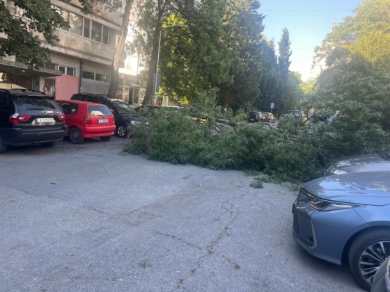 Паднал клон в Бургас