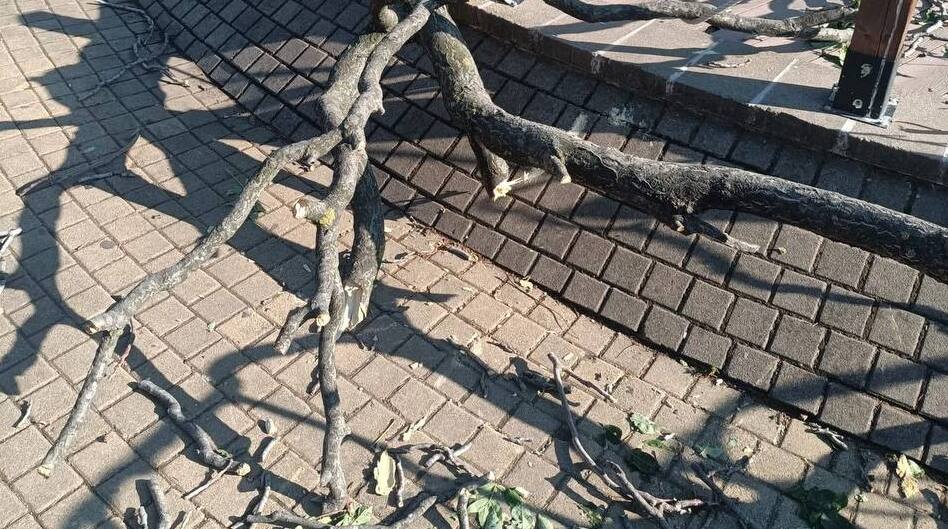 Общинският съветник в местния парламент в Бургас Тодор Ангелов е