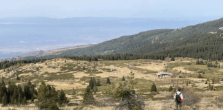 Пътеки на Витоша