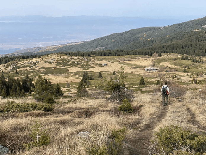 Пътеки на Витоша