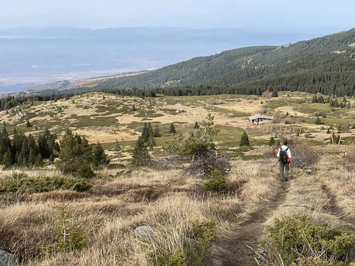 Като част от голямата инициатива Визия за Витоша на кмета