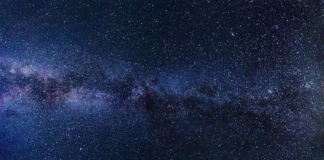 Персеиди звезди, Персеидите