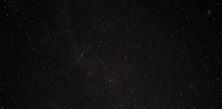 Персеидите