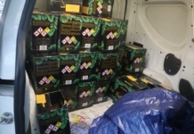 Полицията откри още райски газ в Созопол Полицията в Созопол иззе нови количества райски газ, предназначени за заведения и барове