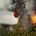 Пожар в Пирин.