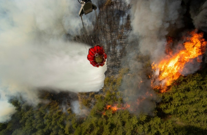 Пожар в Пирин. Пожар в Пирин.
