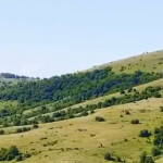 Площите за фотоволтаичния парк