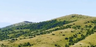 Площите за фотоволтаичния парк