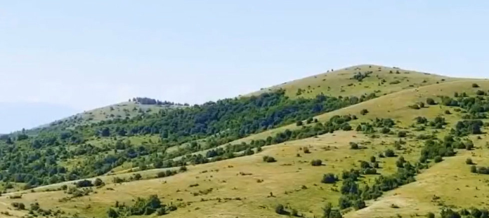 Площите за фотоволтаичния парк