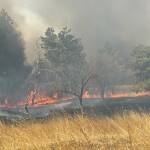 Пожарът в „Лозниците“ се разраства – включват се екипи от три общини Пожар край Българово