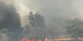 Пожар край Българово